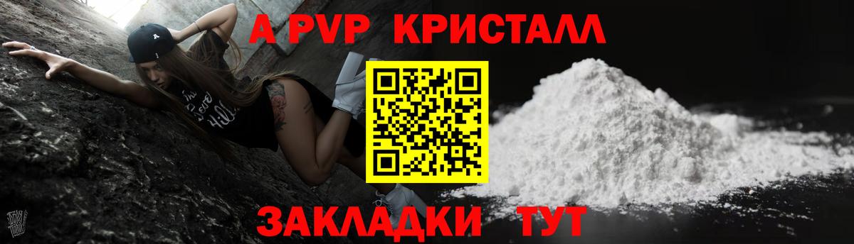 Alfa_PVP СК КРИС  Вход с VPN  Выборг 