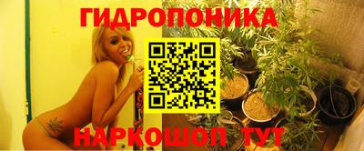 прущие грибы Малоярославец